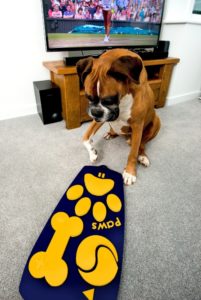 Rocky the boxer chooses Wimbledon as he controls owner Rachaels TV with a prototype of the first ever remote control for dogs (PRNewsFoto/Wagg Foods)